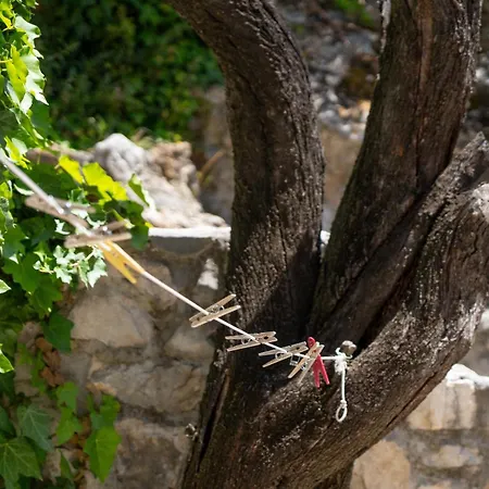 Sara With Pool, Whirlpool And Sea View * Makarska